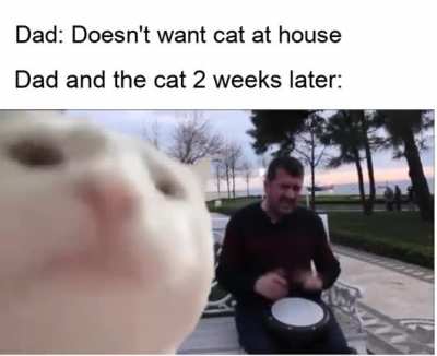 It really do be like that.