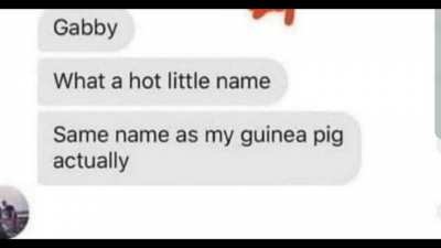 Run Gabby, Run