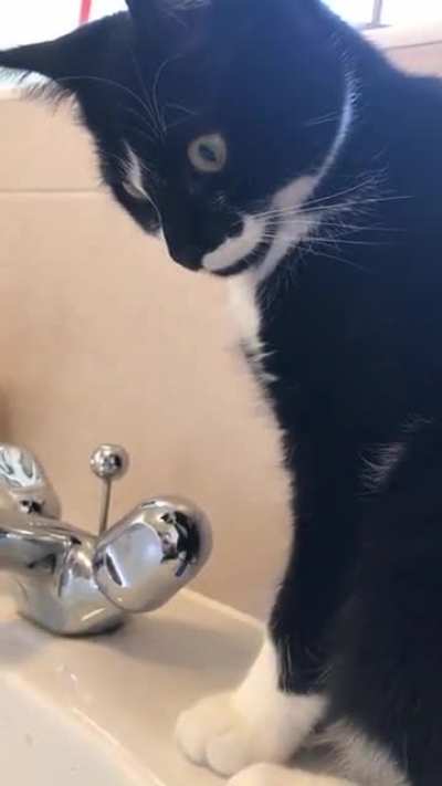 She still can&rsquo;t decide whether she loves or hates water