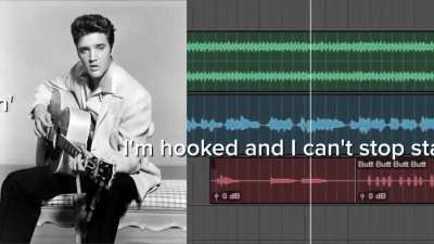 Lo siento por los que no sepan ingl&eacute;s, pero es que est&aacute; buenarda ("Baby got Back" - Elvis)