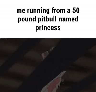 you are not fast enough 😈