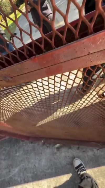 Piba se entera en la puerta de FADU que tomaron la facultad. Ese día rendía un parcial.