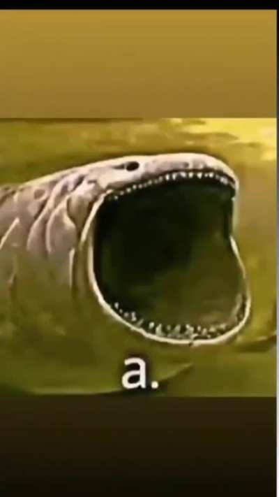 a.