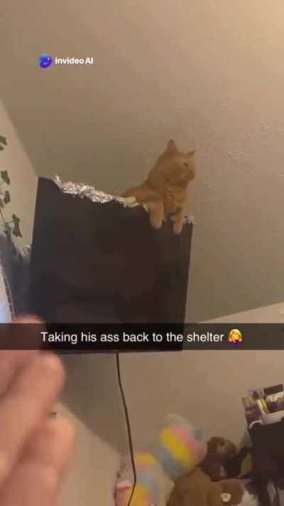 What do now
