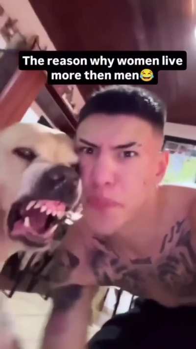 Doggo