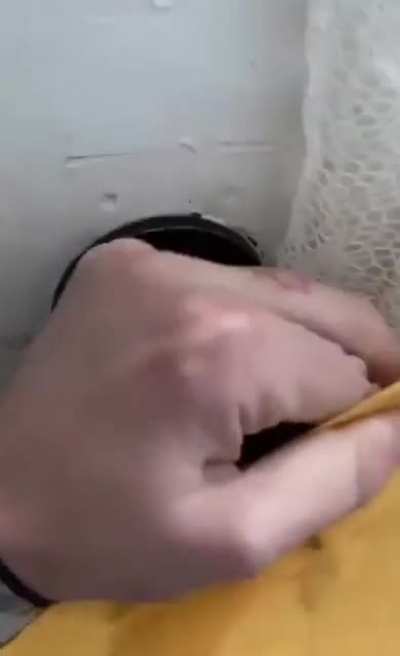 Сюрпрайз, мазафака