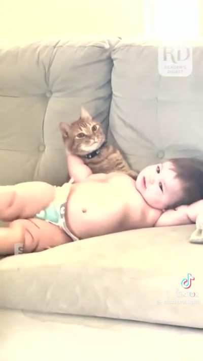 The cat is a saint