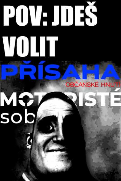 Jdeš volit?