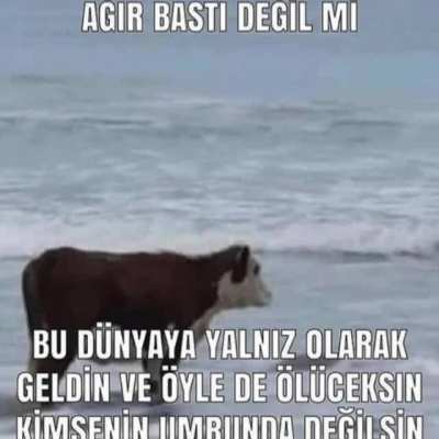 Bayram &ouml;zel sad post :dd