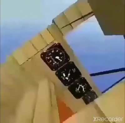 Arañas nooo!