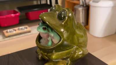 Jam sesh&rsquo; with my dude, IronFrog - TURN IT UP 🐸🤘🏽🎶🎤🔊