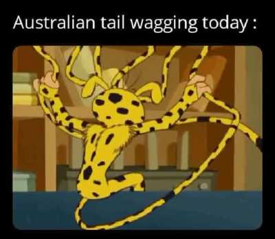 Wagging wagging wagging