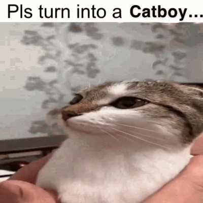 Mr wunkus.....please :&amp;lt; 