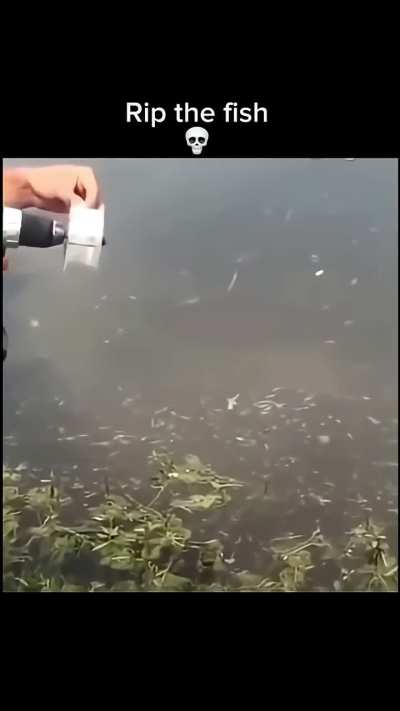 Poor Fish