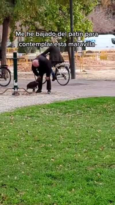 Maravilloso