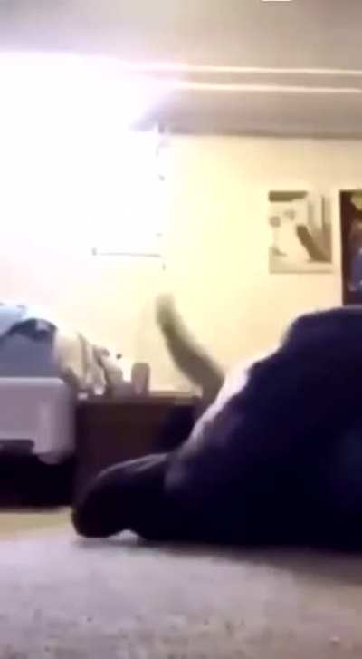 He did the moonwalk.