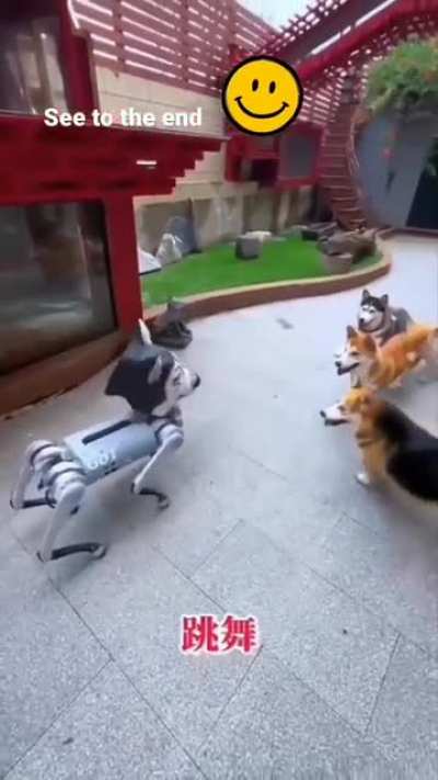 Woof.exe