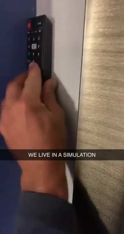 We live in a simulation