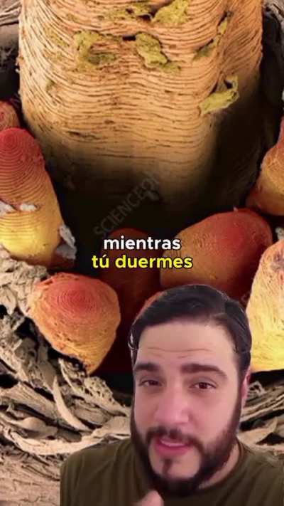 Datazo