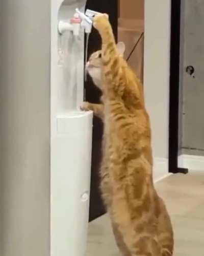 thirsty boy