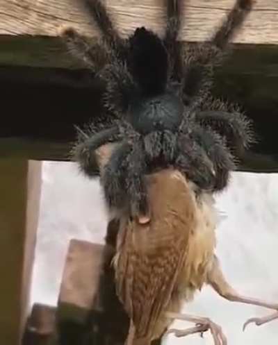 what&rsquo;s for lunch?