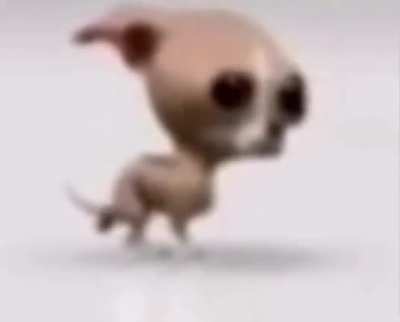 doggy poop