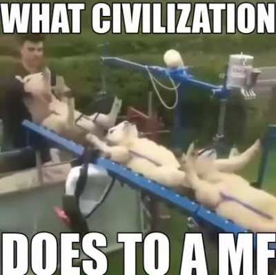FUCK CIVILIZATION ALL MY HOMIES HATE CIVILIZATION