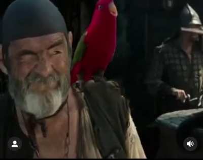 Parrot