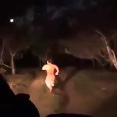Caralho viado