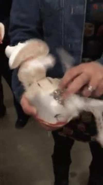 skinless elmo