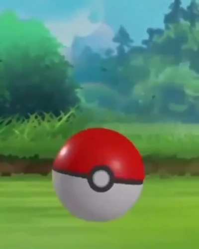 Tenemos que destruir esa pokeball😠😠