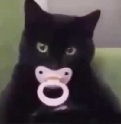 gatito ugu