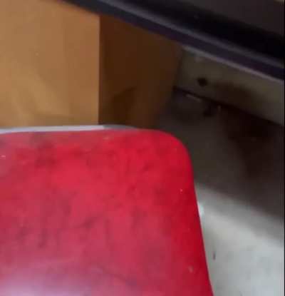 The Office desk mate i want