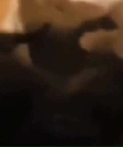 Memen't