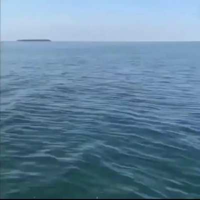 Hold my beer