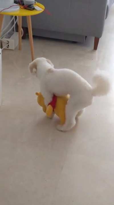 生龙活虎