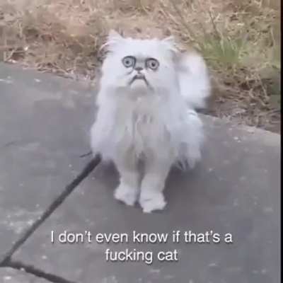 Can I come inside?