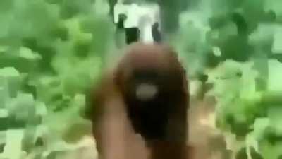 Monke