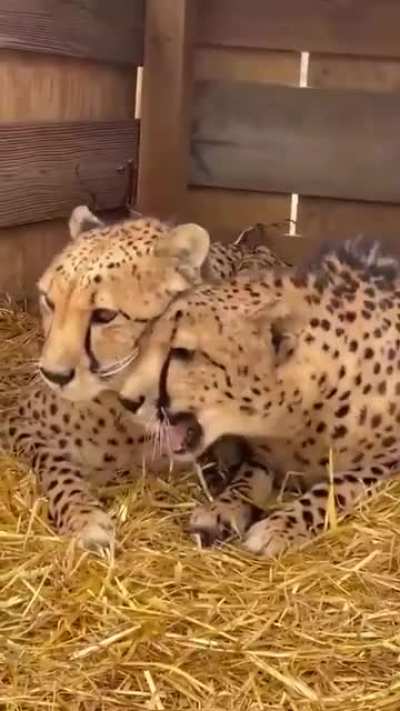 Love is&hellip;.
