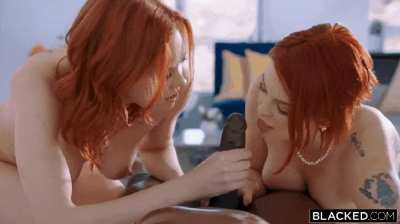 BLACKED - Maitland Ward &amp;amp; Bree Daniels - We All Do It Too