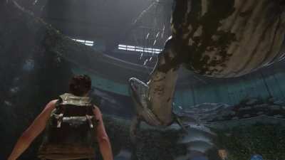 This area in The Last of Us 2