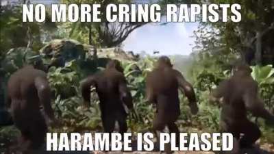 Harambe is a sex defender change my mind 🦍🦍🦍🦍🦍🦍