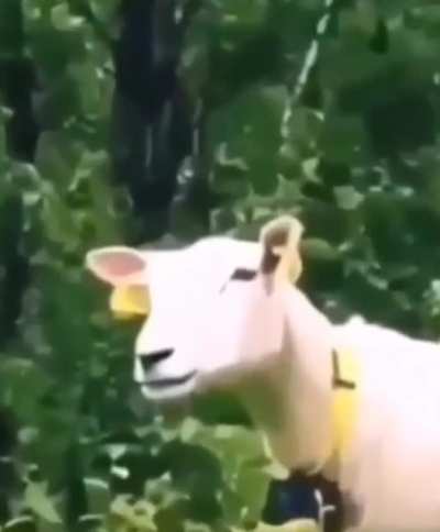 hmmm