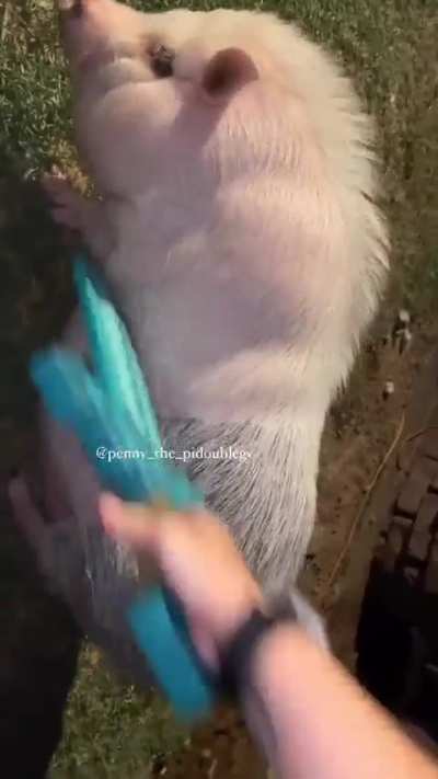 Blursed_Minecraft