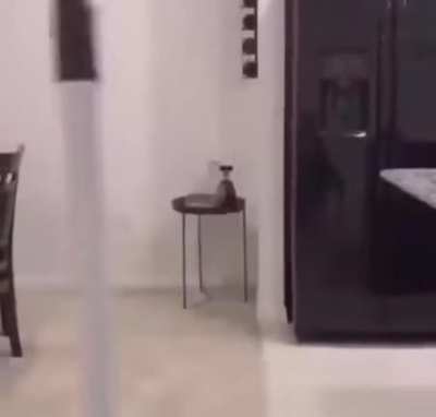 Оригинал и ... (звук)
