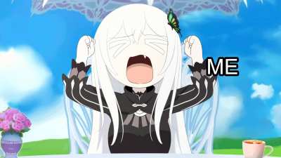 QAQ I miss Echidna animemes