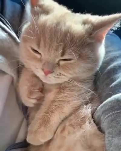 Simply adorable.