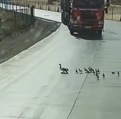 Blursed_parenting