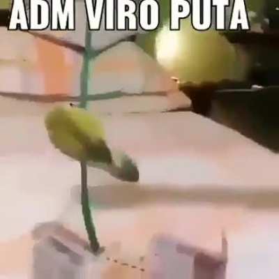 Ademir 😳😱
