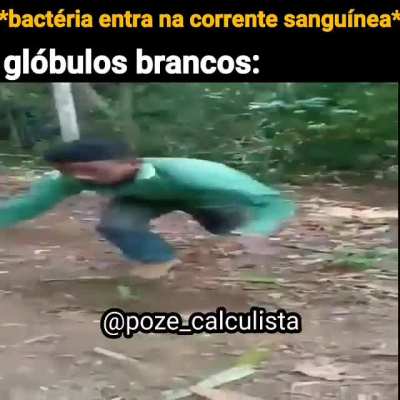 (t&iacute;tulo)
